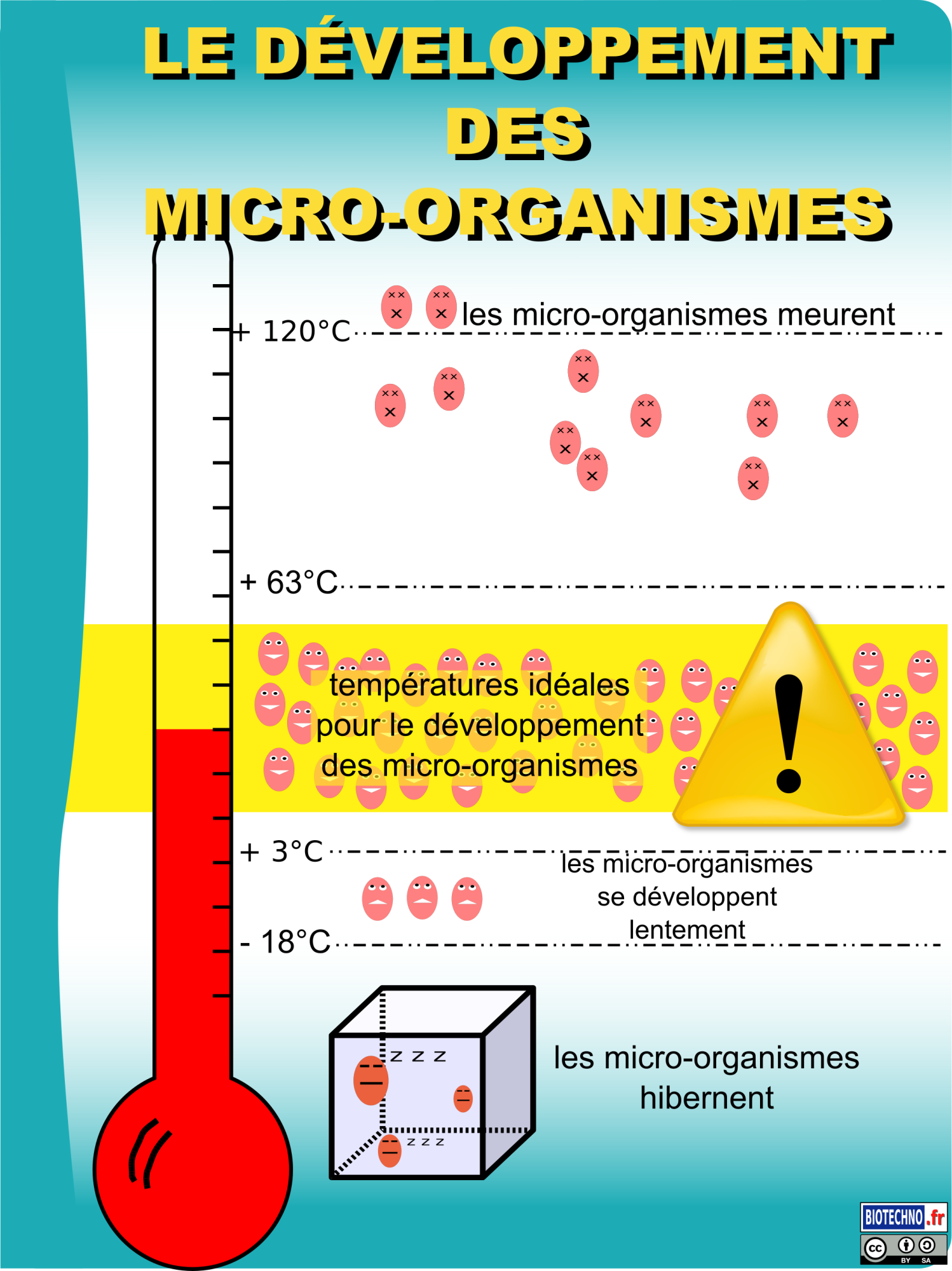 Les Conditions De D Veloppement Et De Multiplication Comment Se